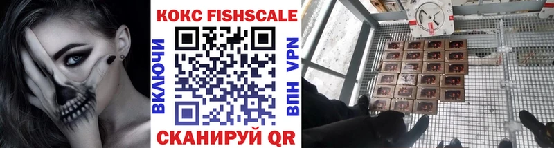 MEGA как зайти  площадка наркотические препараты  КОКАИН Эквадор  Шадринск 