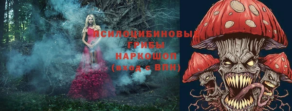 амфетамин Алексин